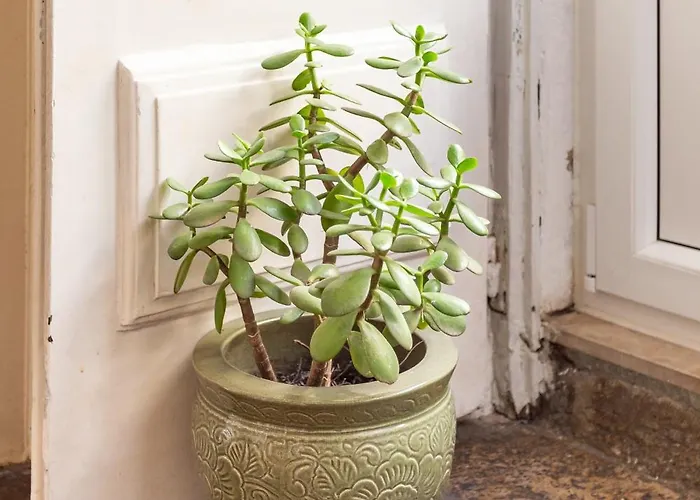 Alfama Typical 2 Bedroom Apartament Lizbona