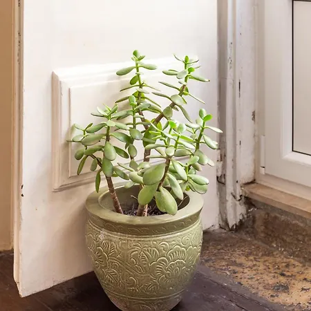 Alfama Typical 2 Bedroom Appartement Lissabon